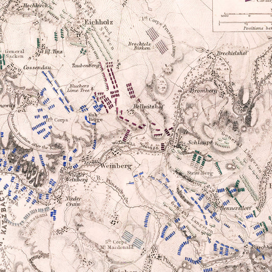 Vintage Map of the Battle of Katzbach, 1813