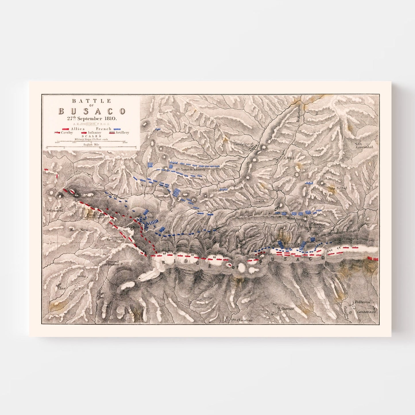 Vintage Map of the Battle of Busaco, Portugal, 1810