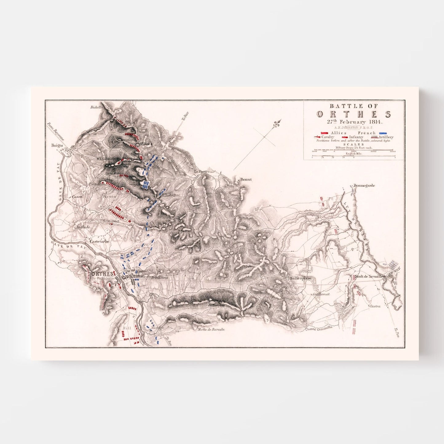 Vintage Map of the Battle of Orthes, 1814