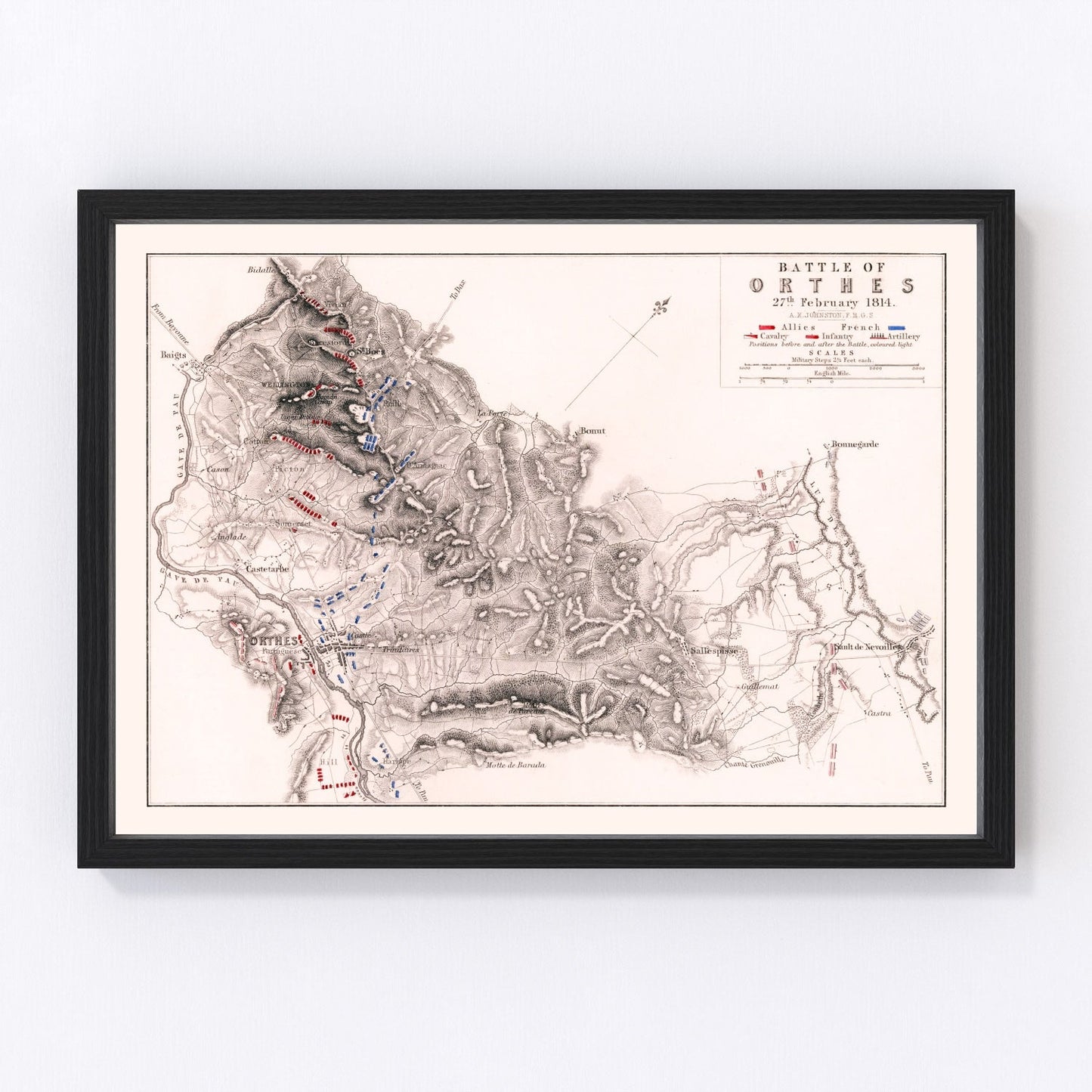 vintage map of the Battle of Orthes, 1814