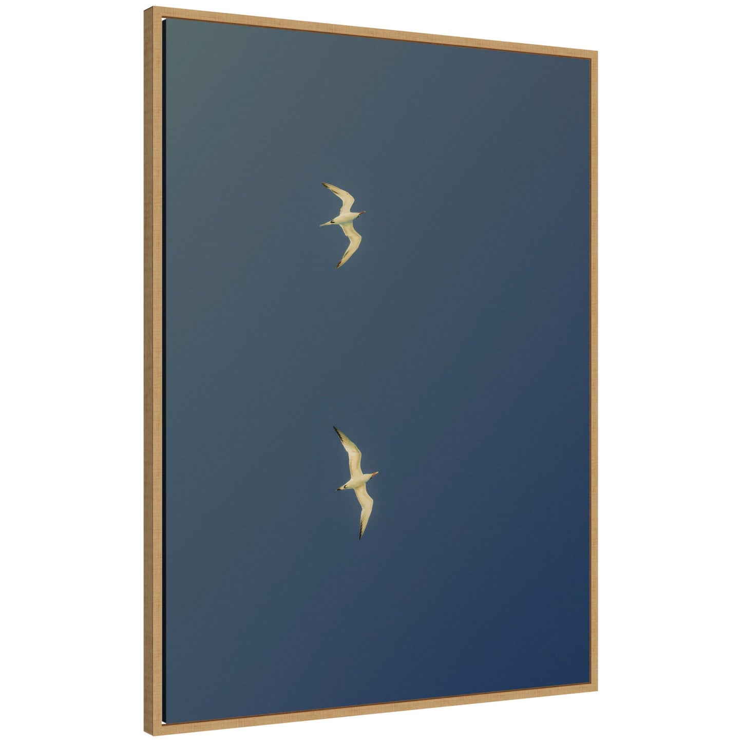 Fly Away two white birds in flight framed canvas wall art