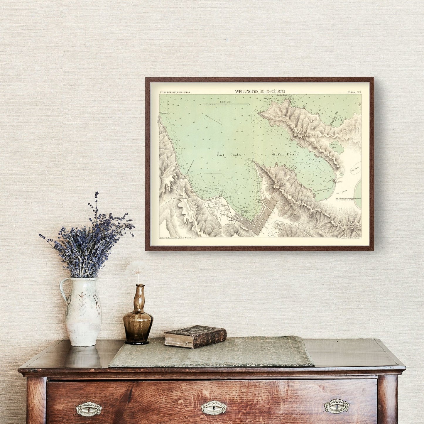 Vintage Map of Wellington, New Zealand, 1881