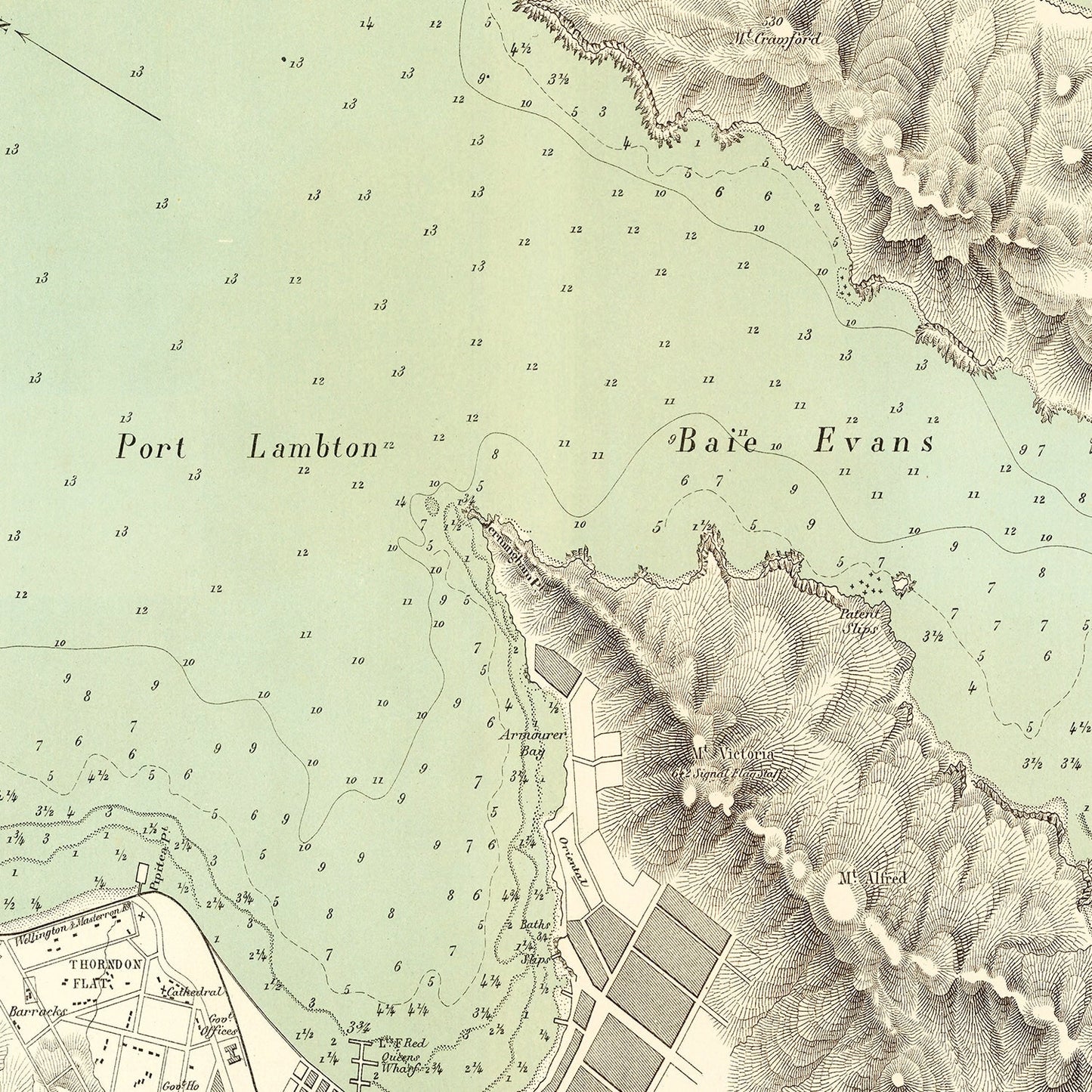 Vintage Map of Wellington, New Zealand, 1881