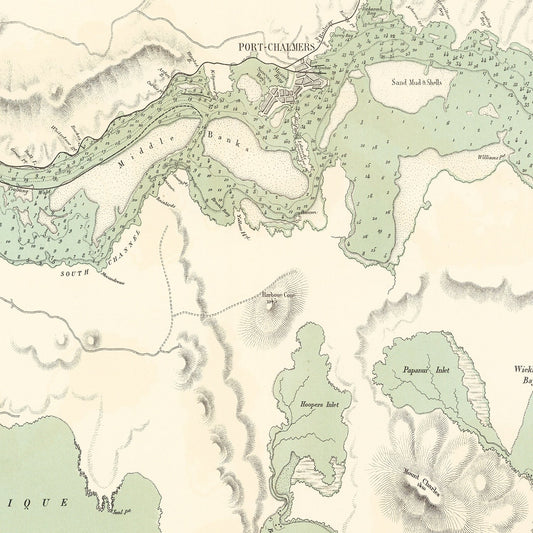 Vintage Map of Dunedin, New Zealand, 1889