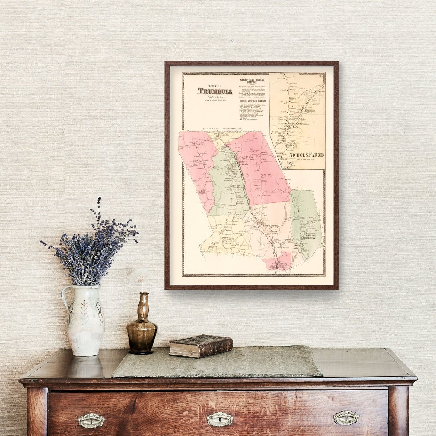 Vintage Map of Nichol's Farms, Connecticut, 1867