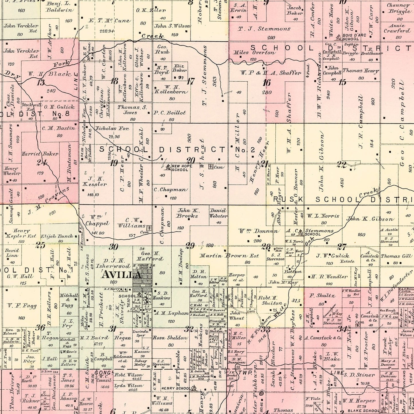 Vintage Map of McDonald Township, Jasper County, Missouri, 1895