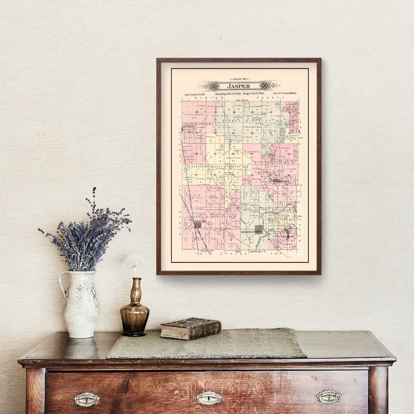 Vintage Map of Jasper Township, Jasper County, Missouri, 1895