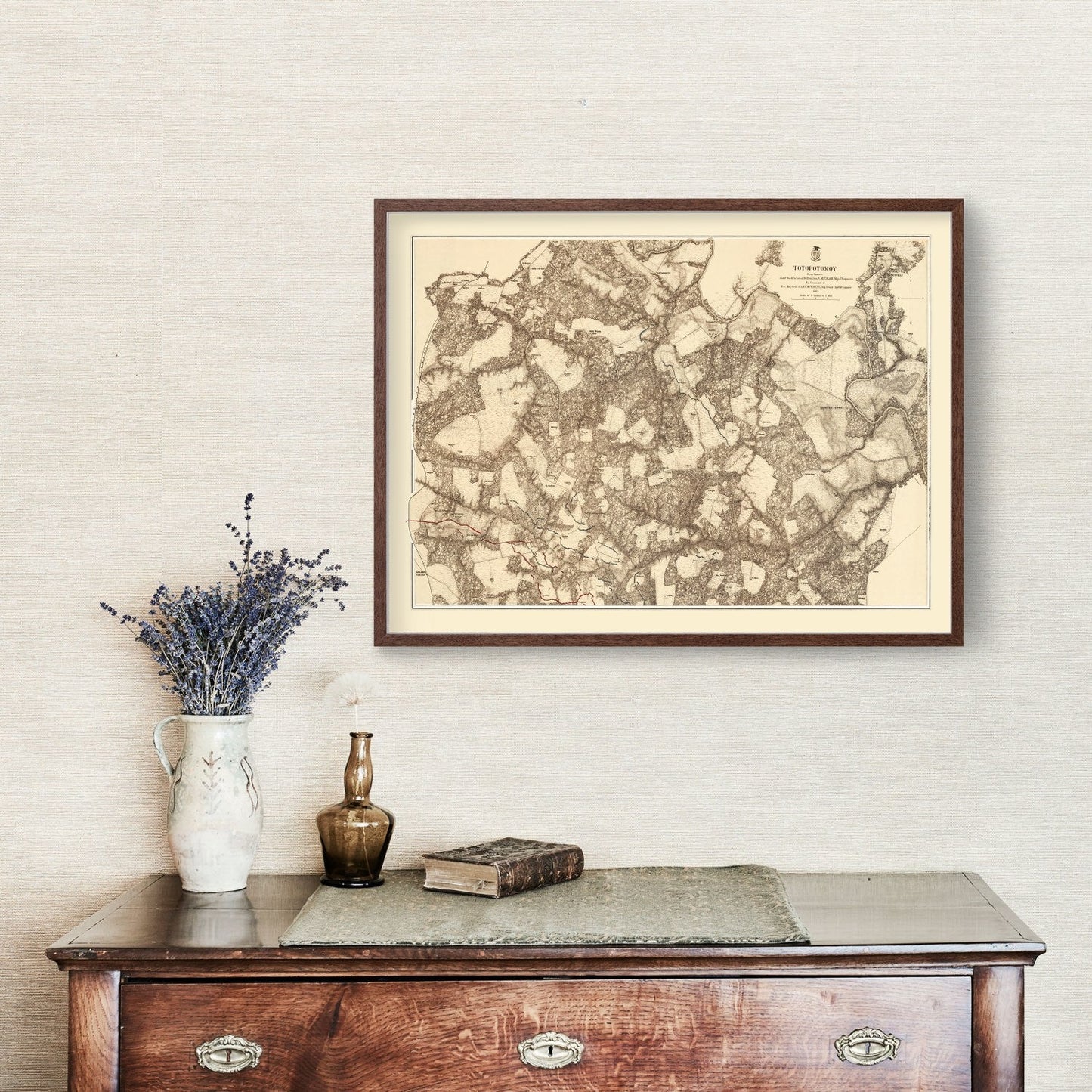 Vintage Map of the Battle of Totopotomoy, Virginia, 1869