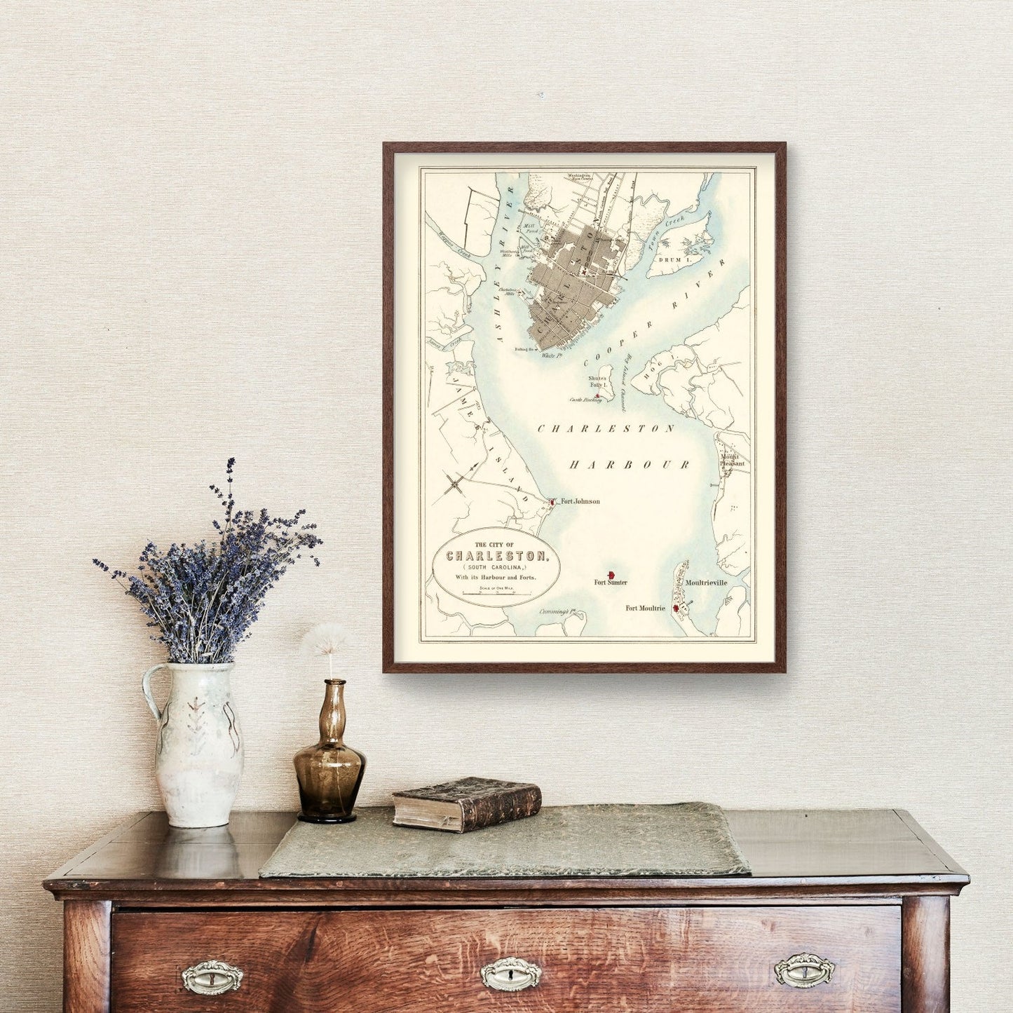 Vintage Map of Charleston, South Carolina, 1857 Wall Art