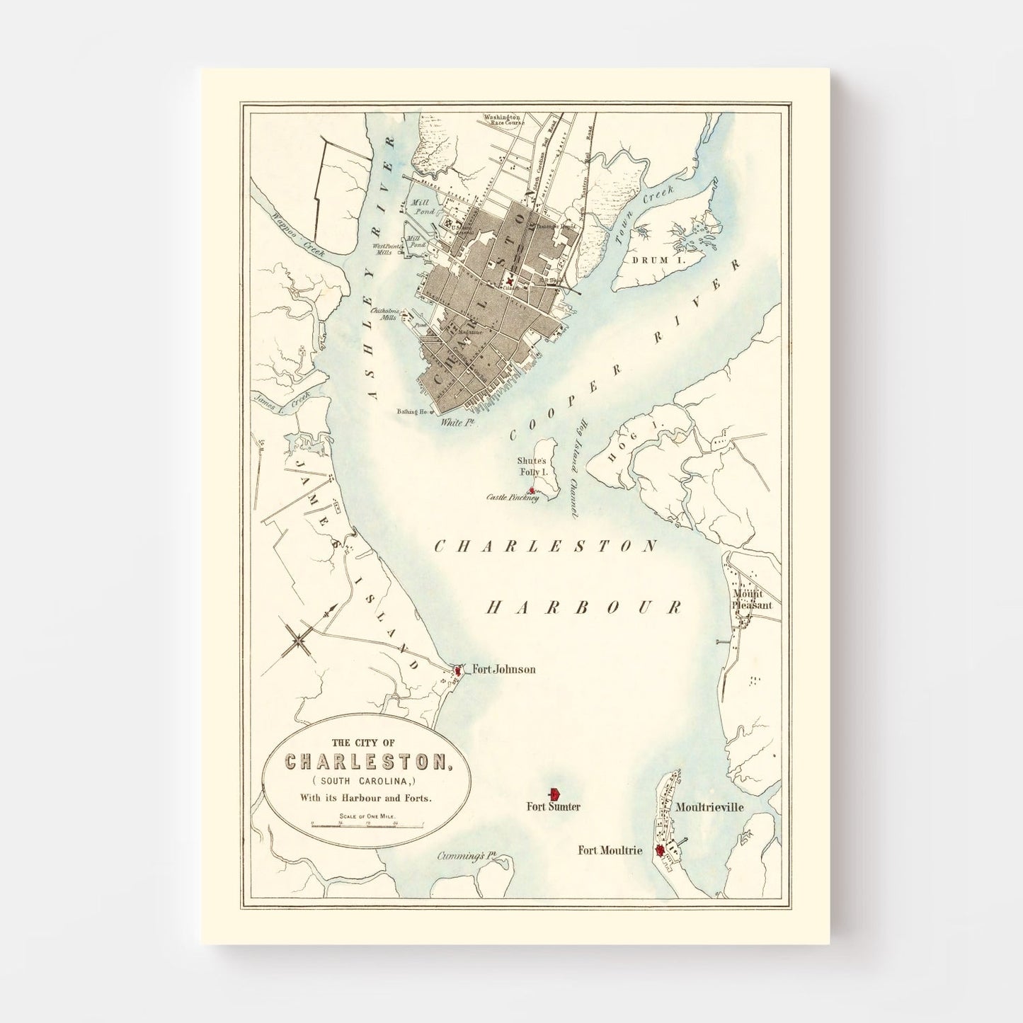 Vintage Map of Charleston, South Carolina, 1857 Wall Art