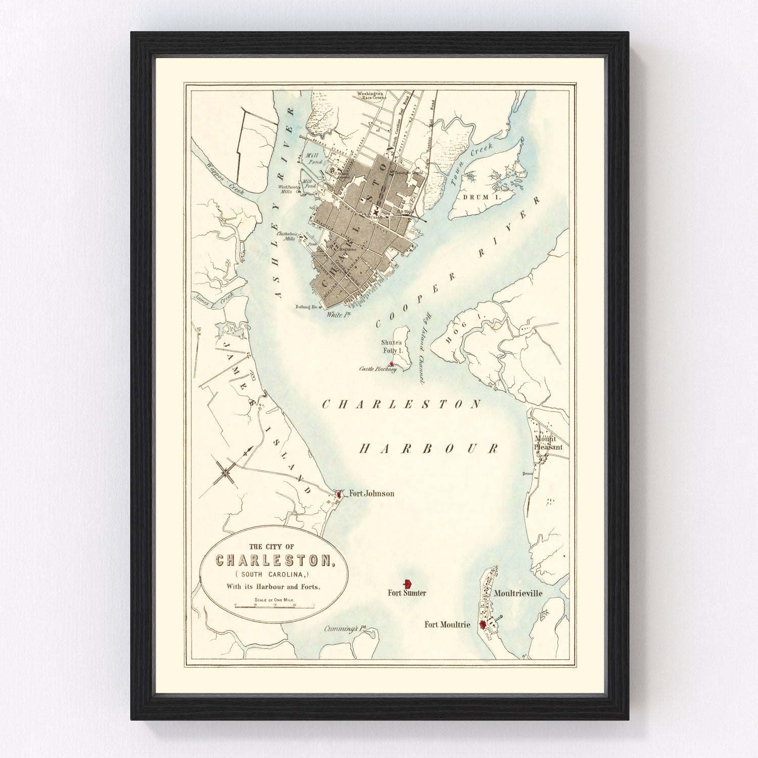 Vintage map of Charleston, South Carolina, 1857, digitally restored antique cartographic print