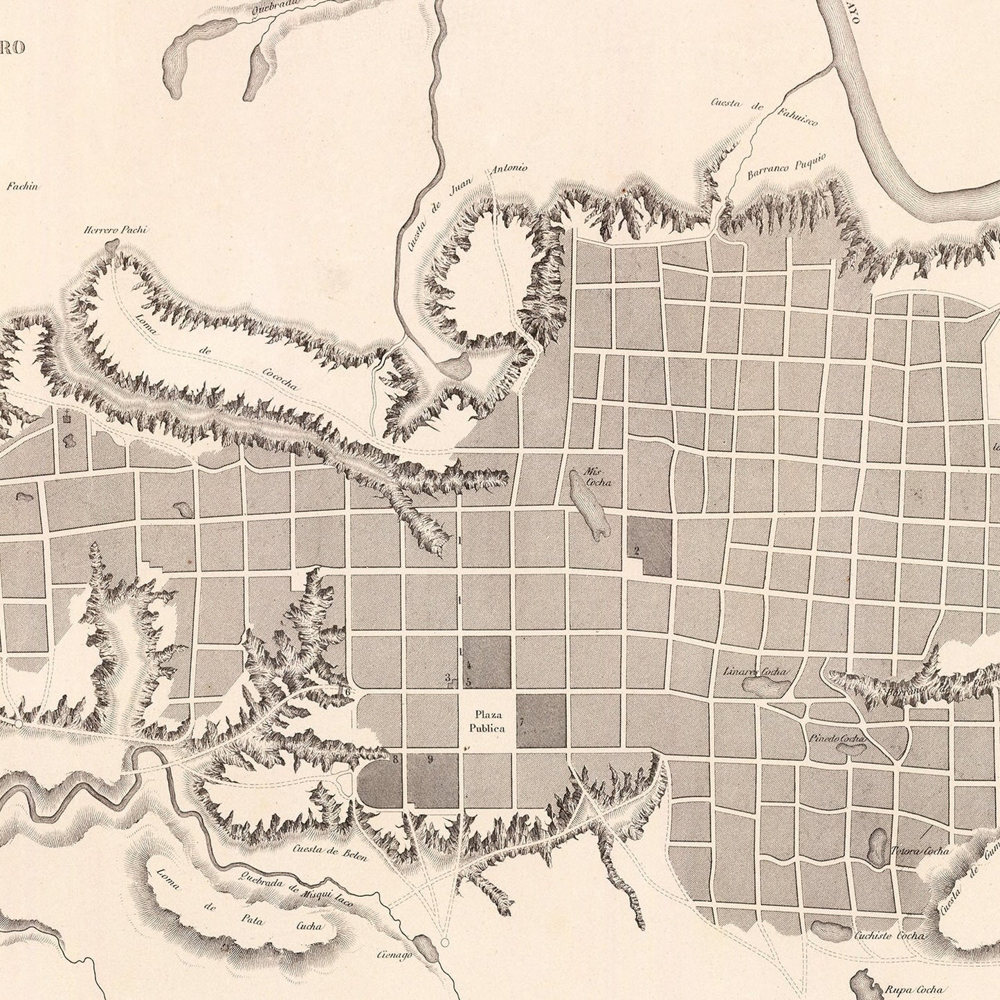 Vintage Map of Moyobamba, Peru, 1865