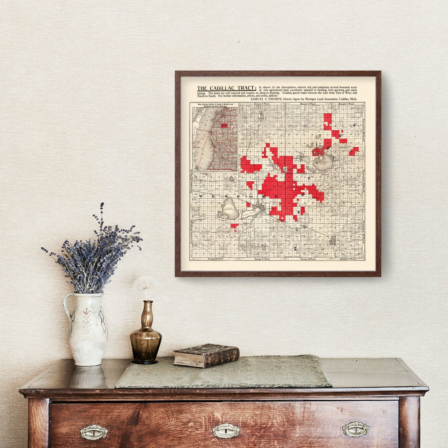 Vintage Map of Cadillac, Michigan, 1900 Wall Art