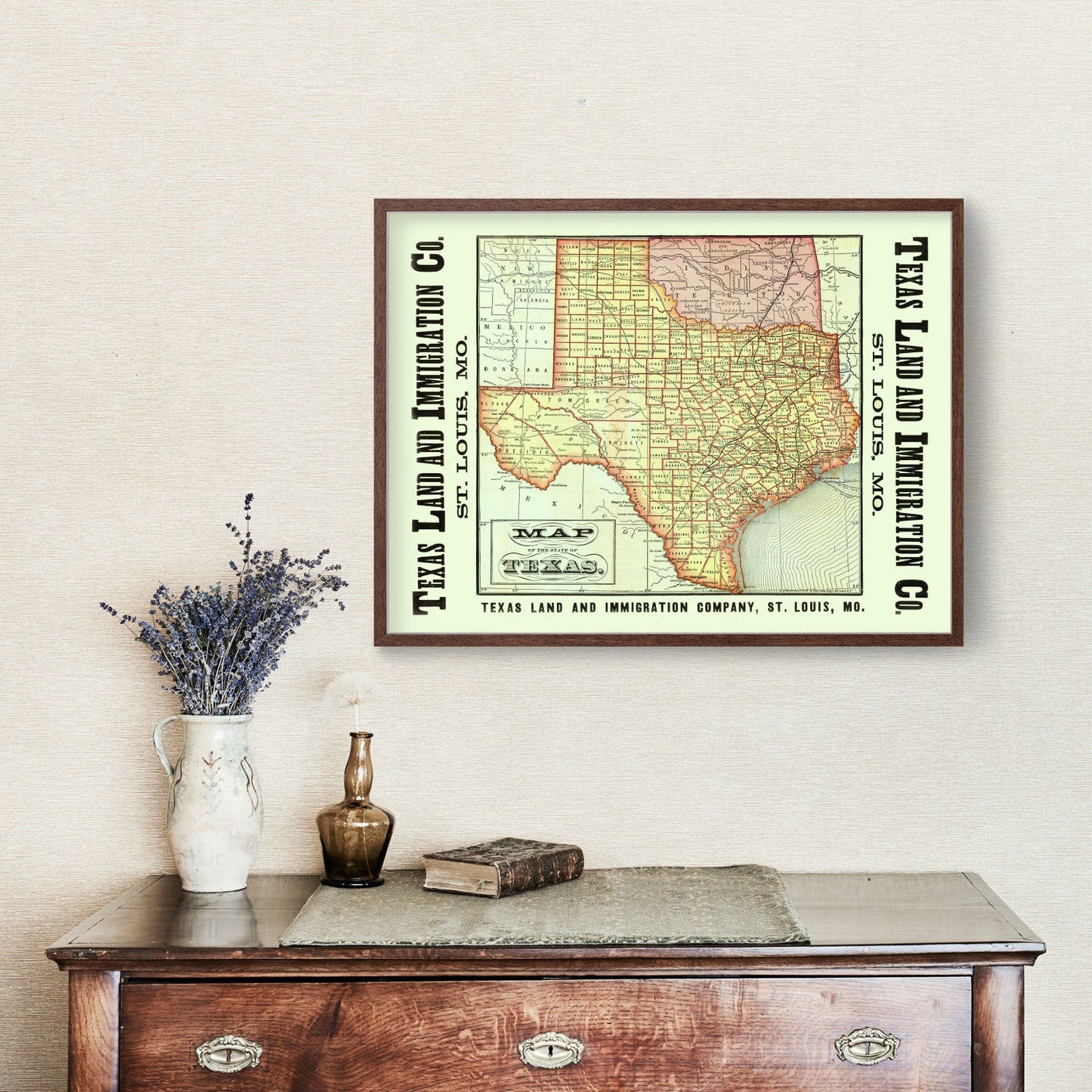 Vintage Map of Texas County, 1876
