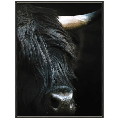 Minimalist black Highland cow framed wall art print with acrylic glazing
