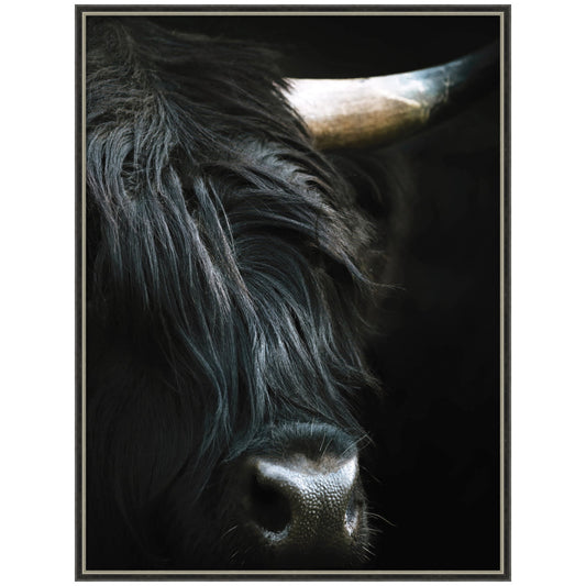 Minimalist black Highland cow framed wall art print with acrylic glazing