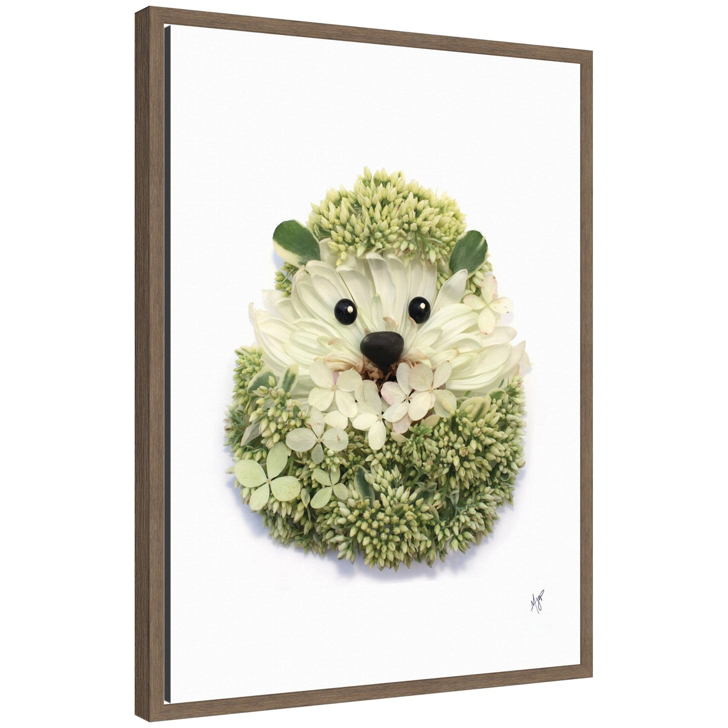 Hedgehog Framed Canvas Wall Art