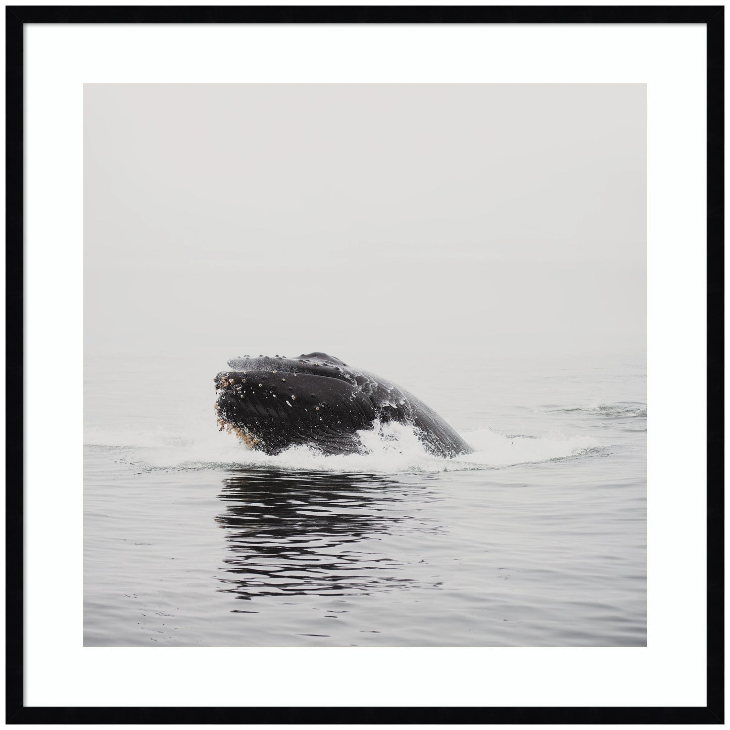 Humpback whale framed wall art print, ocean decor