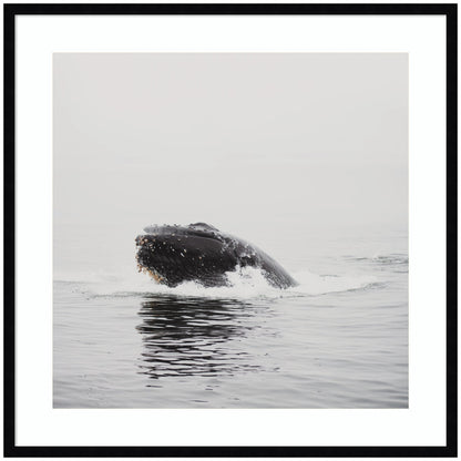 Humpback whale framed wall art print, ocean decor