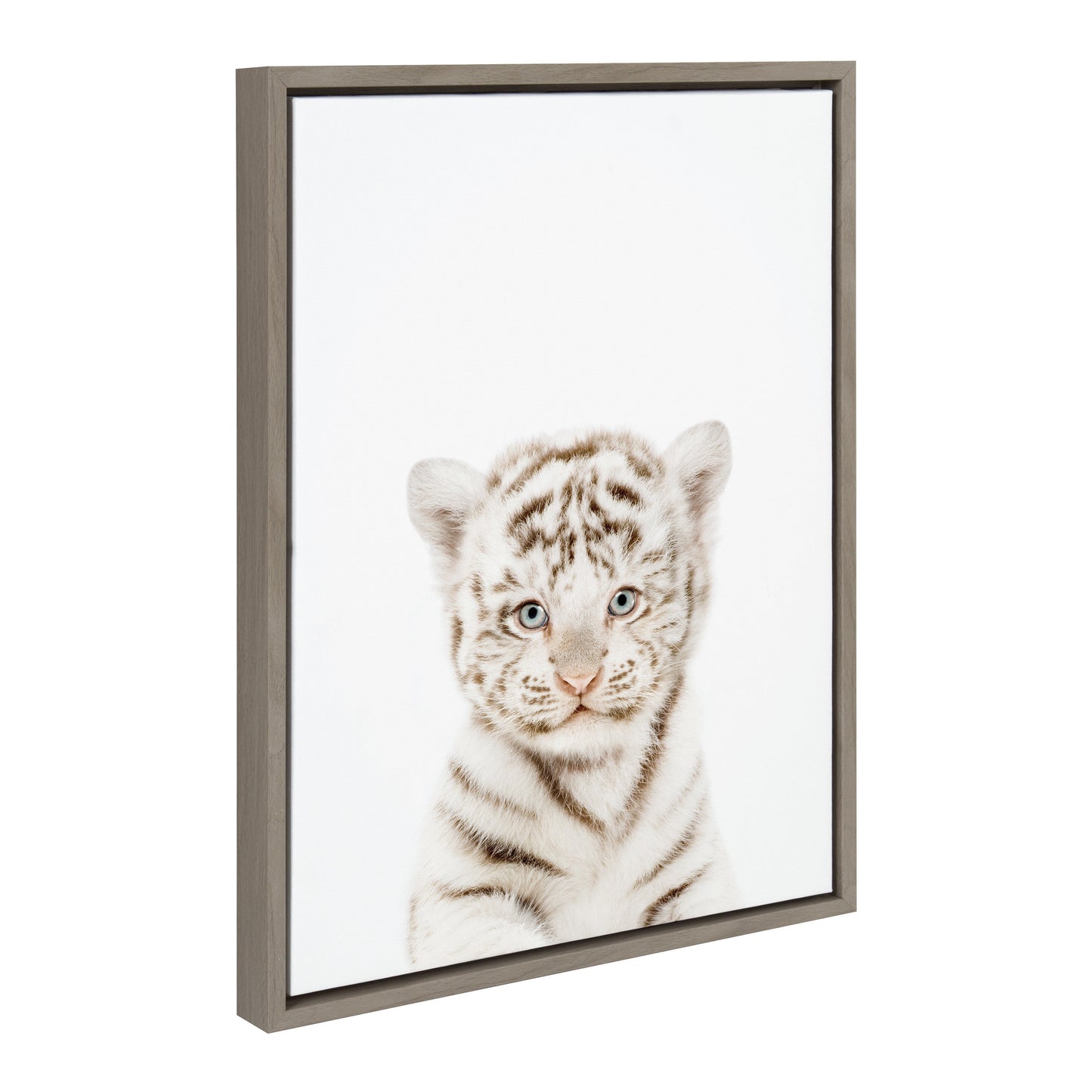 Baby White Tiger Framed Canvas Wall Art, Nursery Decor