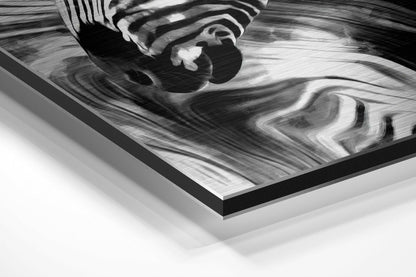 Zebra Brushed Aluminum Wall Art