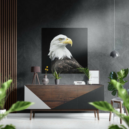 Bald eagle profile metal wall art