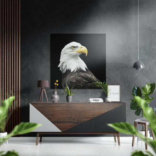 Bald eagle profile metal wall art