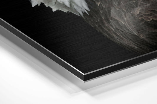 Bald Eagle Profile Metal Wall Art