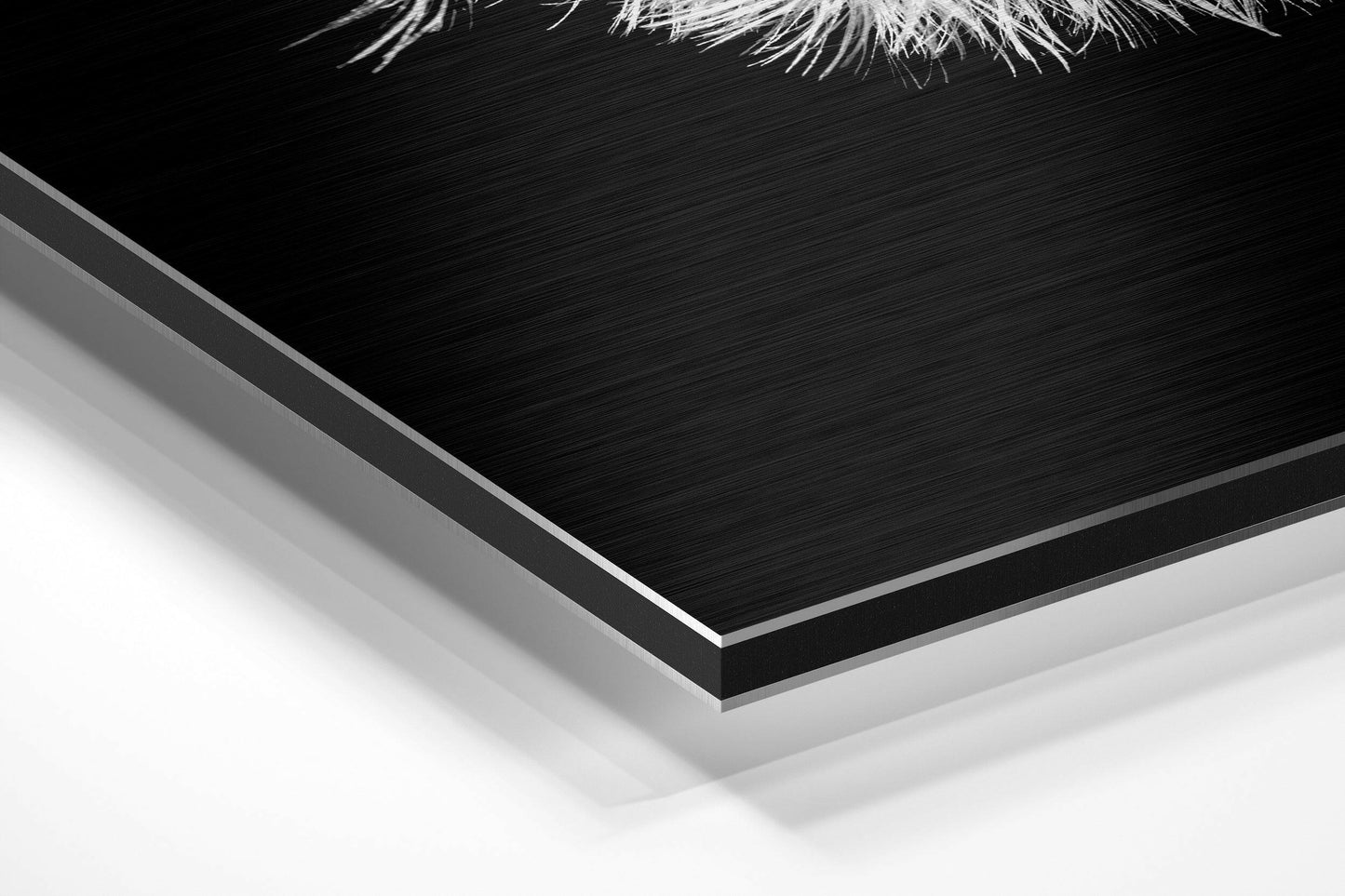 Dandelion Metal Wall Art