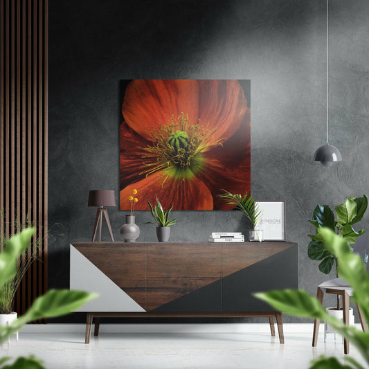 Red Orange Poppy Macro metal wall art floral close-up