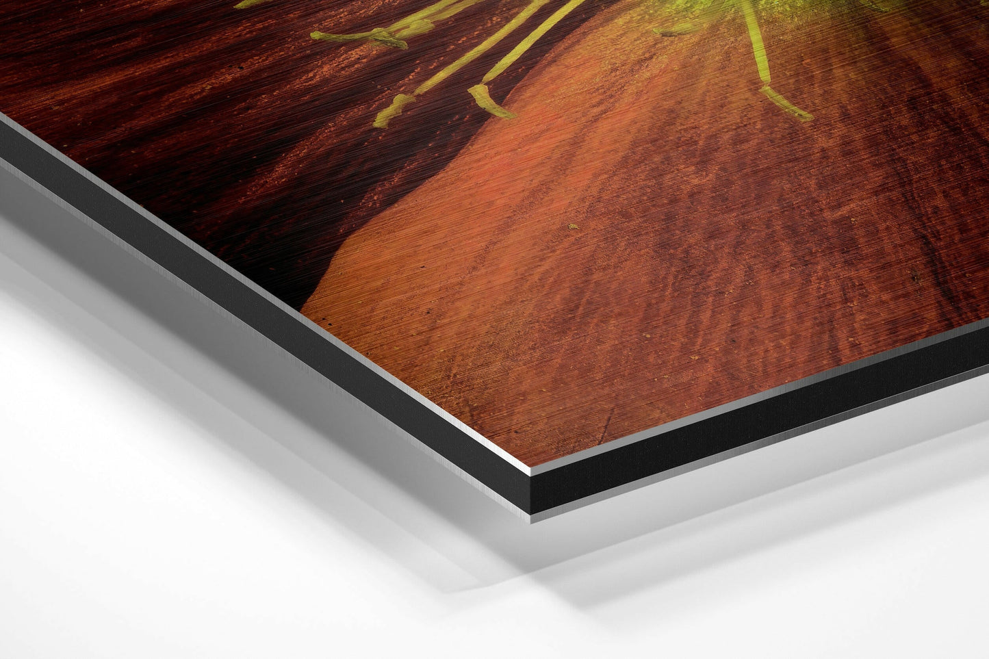 Red Orange Poppy Macro Metal Wall Art