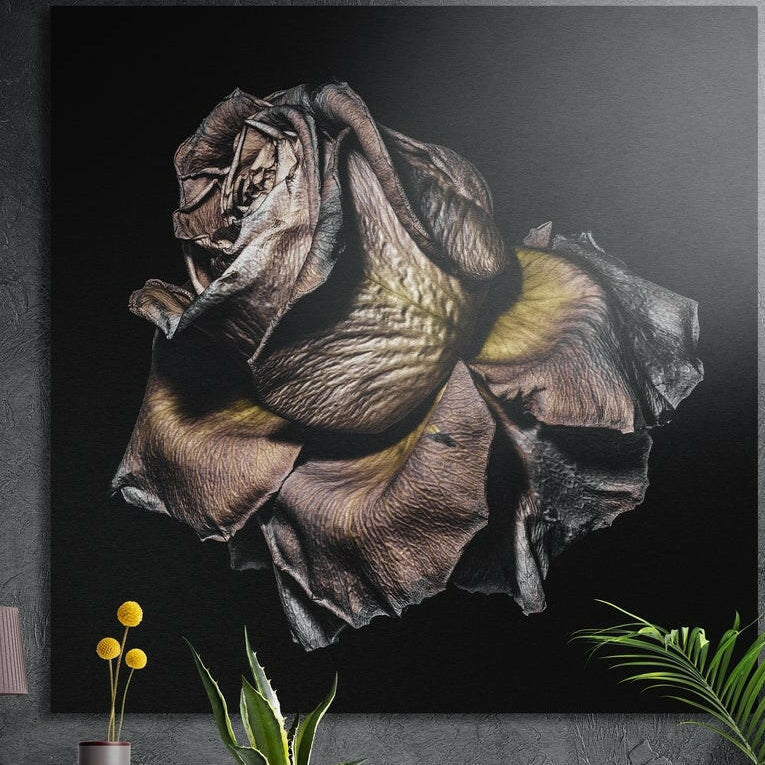 Silver and gold metallic rose in full bloom on black, brushed aluminum wall art on a dark wall behind plants