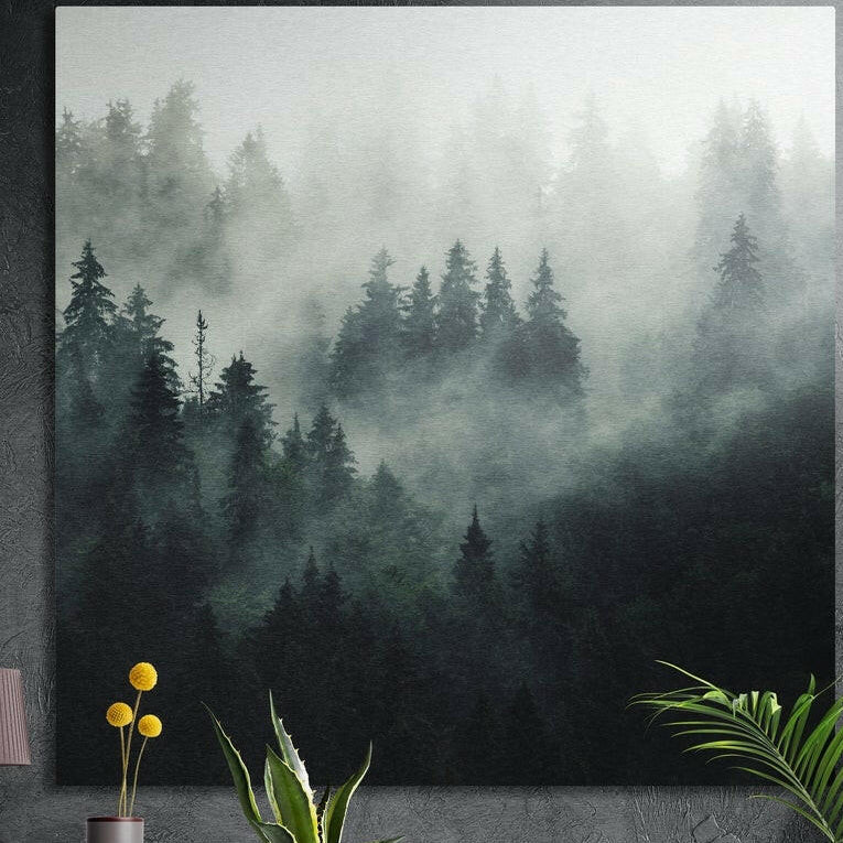 Dark evergreen forest disappearing into white mist, brushed aluminum wall art on a concrete wall behind plants