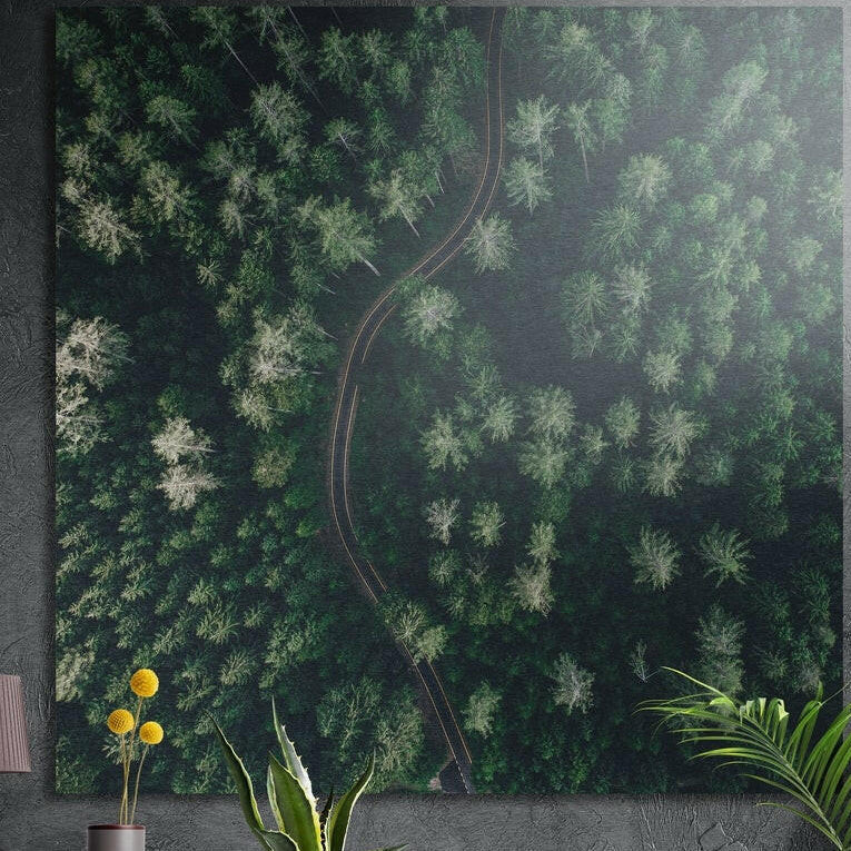 Aerial view of a dense evergreen forest with a winding road, brushed aluminum wall art on a concrete wall behind plants