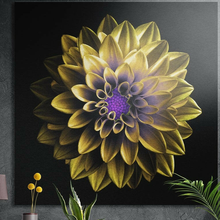 Golden yellow dahlia with layered petals and a purple center on black, brushed aluminum wall art behind plants