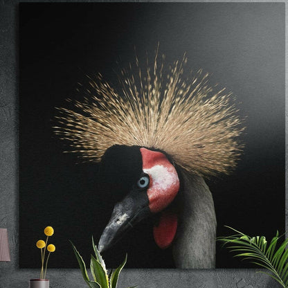 Grey crowned crane with a golden feather crown, red cheek patch and pale blue eye on black, brushed aluminum wall art