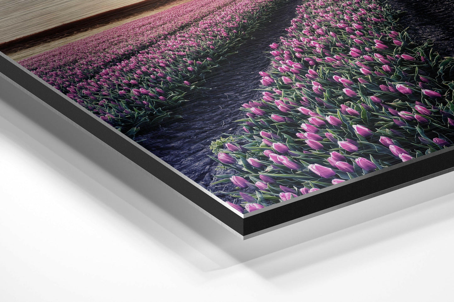 Tulip Field Metal Wall Art