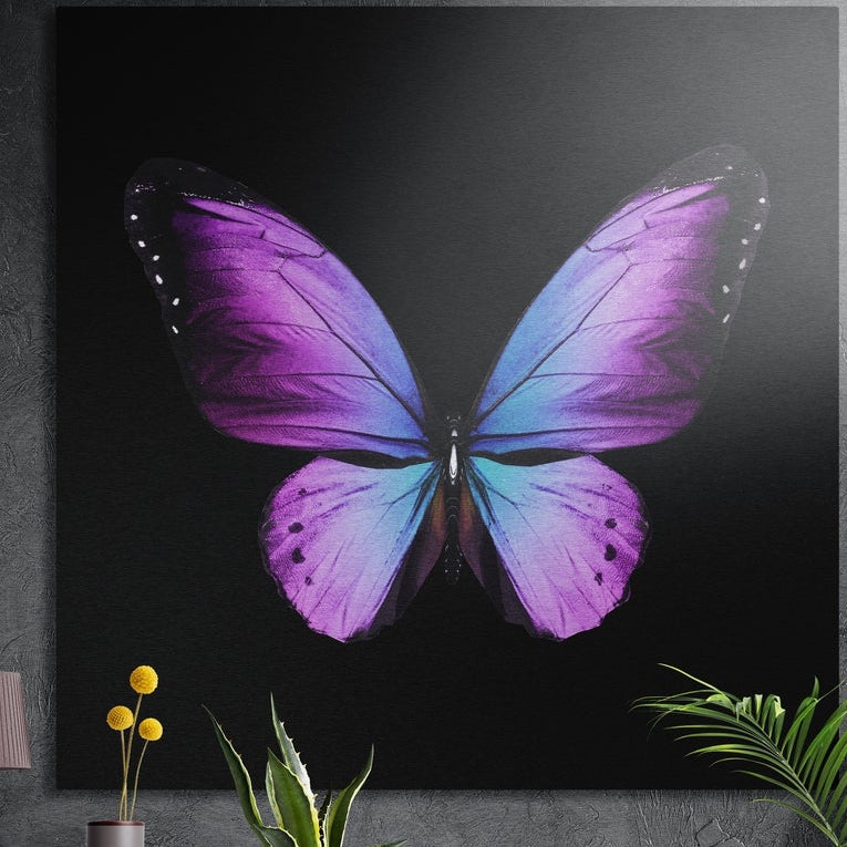 Purple and blue butterfly on black, square brushed aluminum wall art on a gray wall behind plant leaves