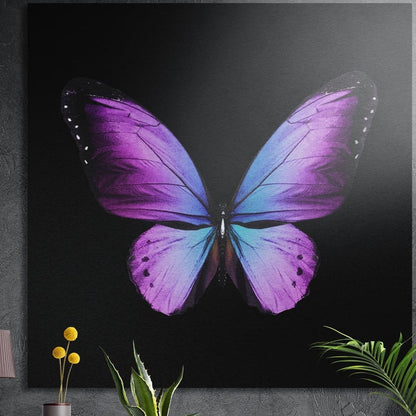 Purple and blue butterfly on black, square brushed aluminum wall art on a gray wall behind plant leaves