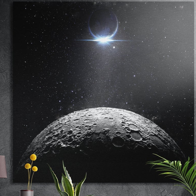 Moon crater brushed aluminum wall art in black and white on a dark gray wall behind potted plants