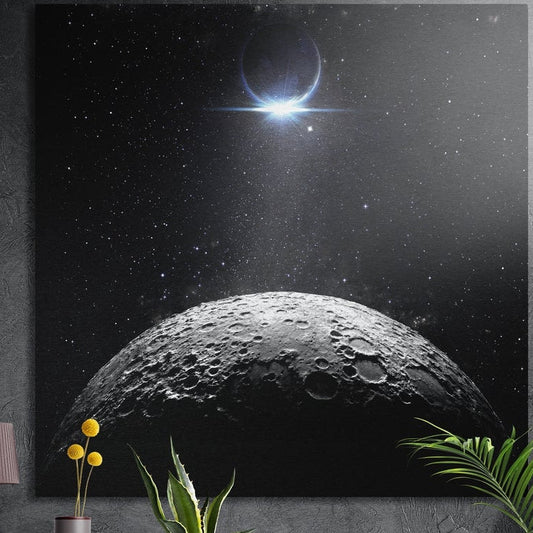 Moon crater brushed aluminum wall art in black and white on a dark gray wall behind potted plants