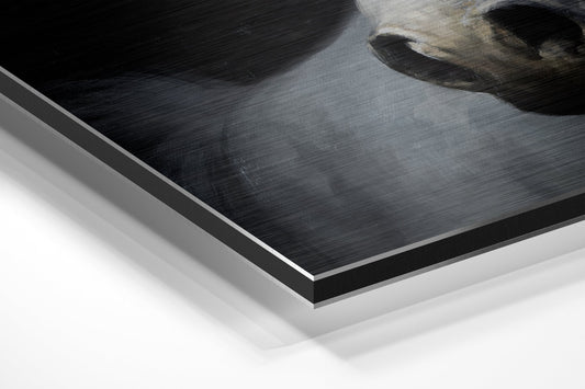 White Horse Head Dark Backdrop Metal Wall Art