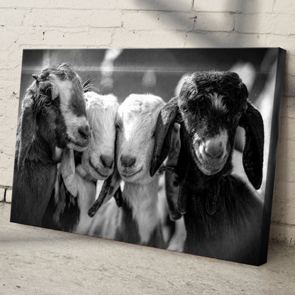 Three Baby Goats Black and White canvas shown at an angle, close view of the wrapped edge, view 2