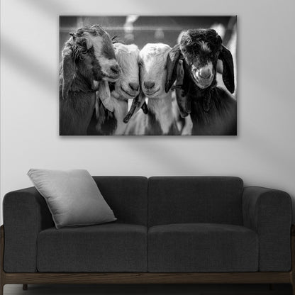 Three Baby Goats Black and White canvas shown in a styled room setting, view 3