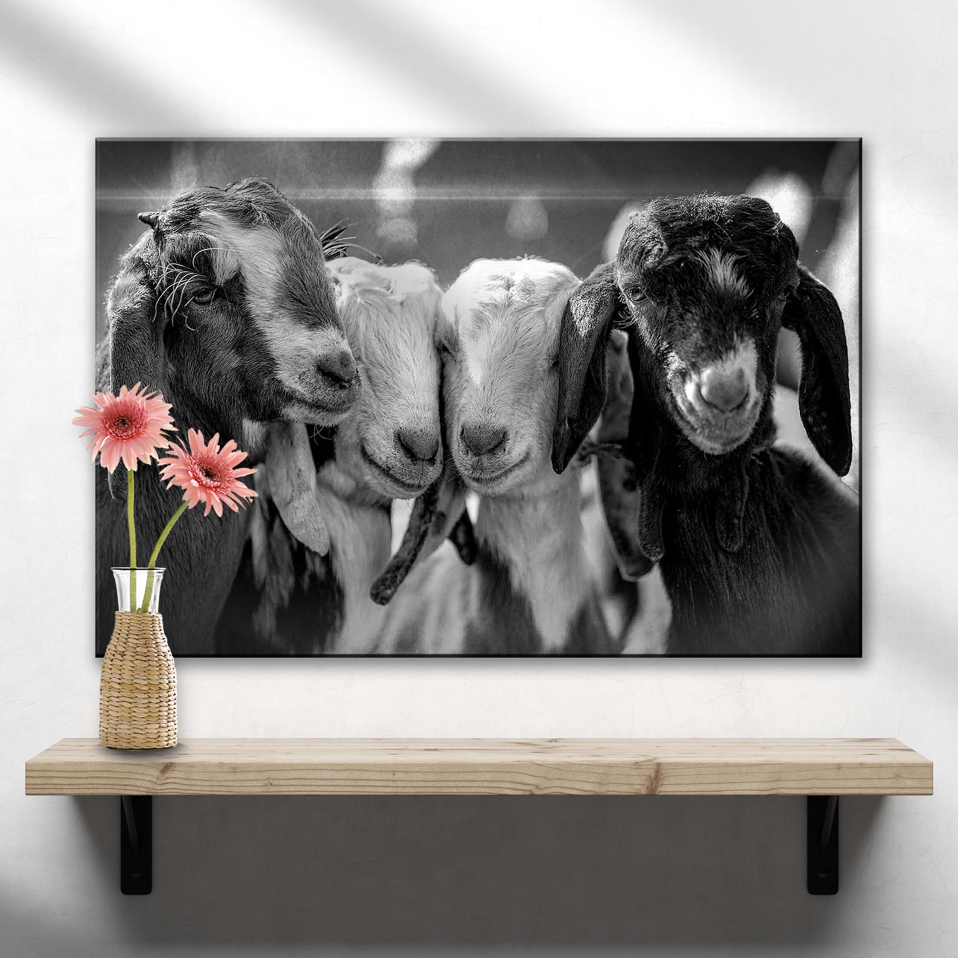 Black and white baby goats canvas wall art with playful farm animal portrait