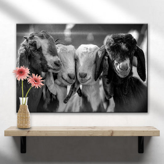 Black and white baby goats canvas wall art with playful farm animal portrait