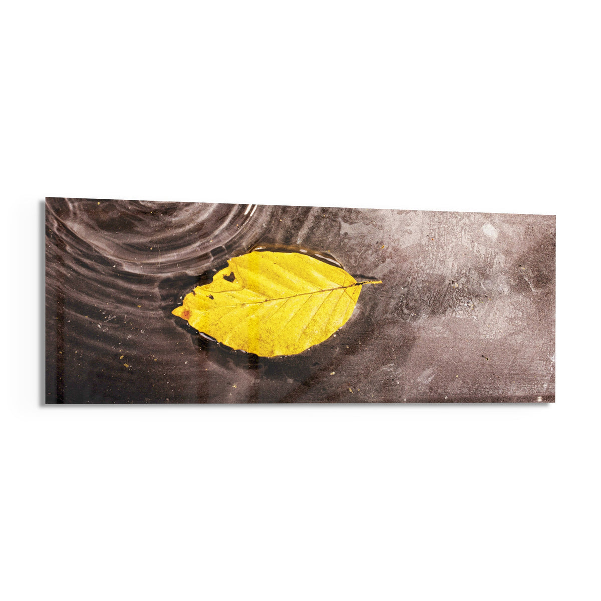 Yellow leaf on rippled water panoramic glass wall art shown on a white background with a soft shadow