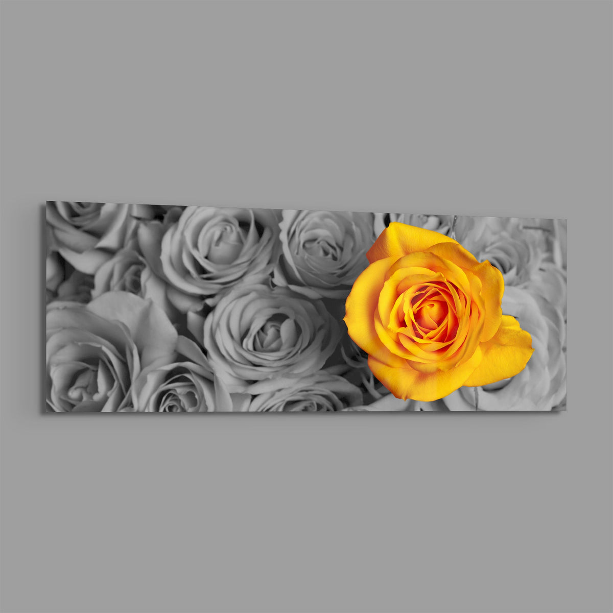 Yellow rose on gray roses panoramic glass wall art shown on a plain gray background