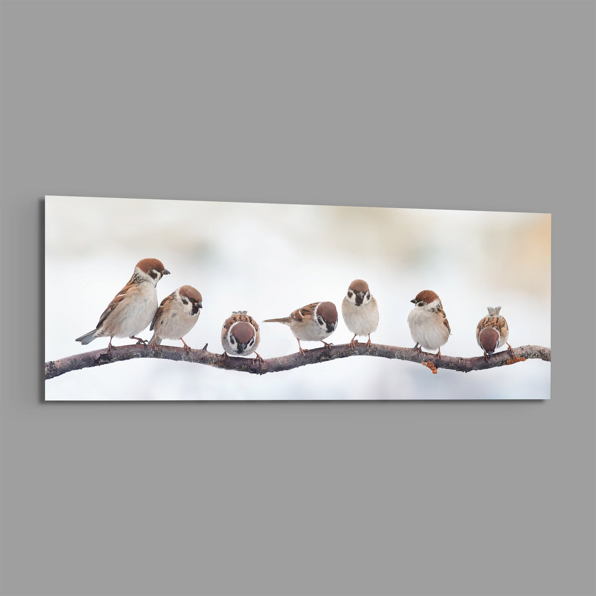 Seven sparrows on a bare branch glass wall art on a plain gray background
