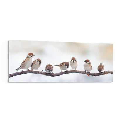 Seven fluffy sparrows perched in a row on a bare branch against a soft white glow, panoramic glass on white